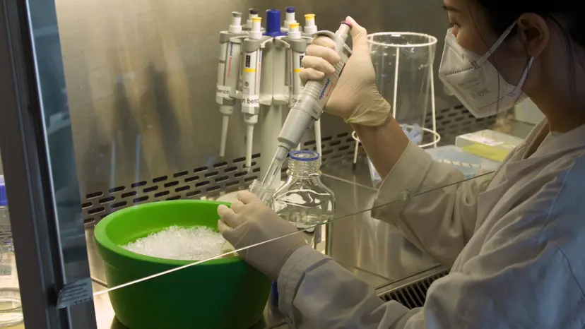JoVE Research Video for Residue-Specific Exchange of Proline by Proline Analogs in Fluorescent Proteins: How "Molecular Surgery" of the Backbone Affects Folding and Stability