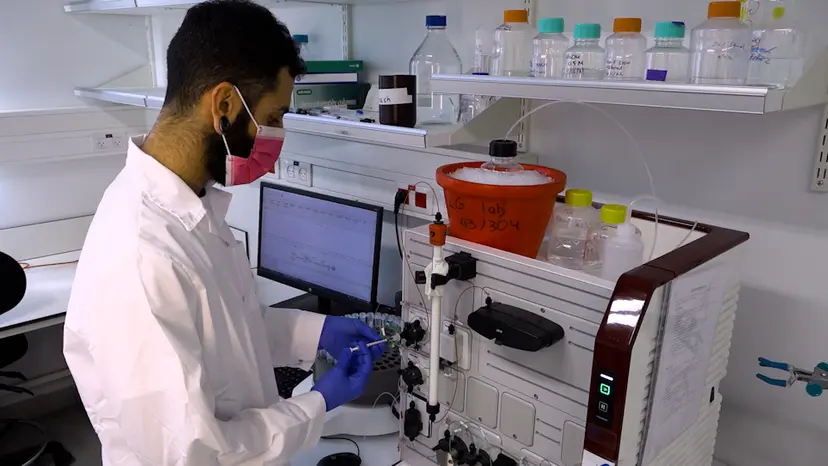 JoVE Research Video for Motility of Single Molecules and Clusters of Bi-Directional Kinesin-5 Cin8 Purified from S. cerevisiae Cells