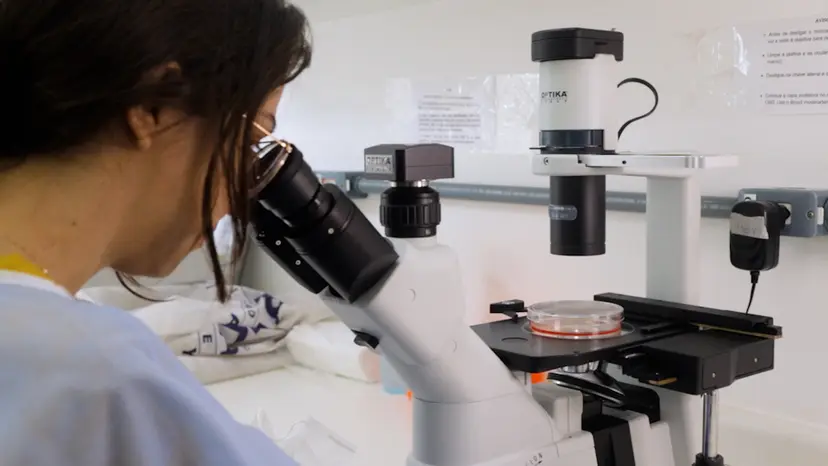 JoVE Research Video for Evaluation of Substrate Ubiquitylation by E3 Ubiquitin-ligase in Mammalian Cell Lysates