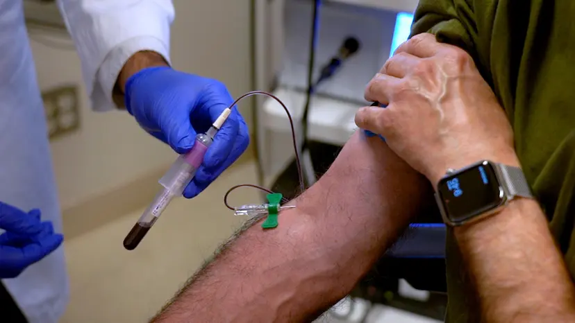 JoVE Research Video for Detection and Quantification of Calcitonin Gene-Related Peptide (CGRP) in Human Plasma Using a Modified Enzyme-Linked Immunosorbent Assay