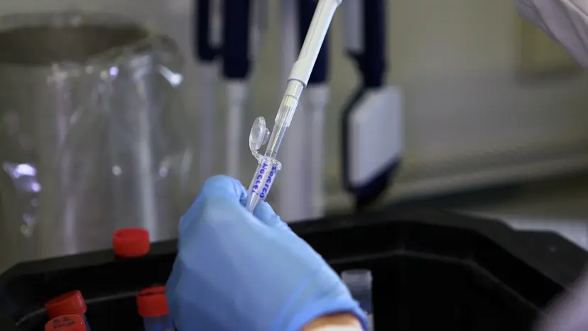 JoVE Research Video for High-Quality Brain and Bone Marrow Nuclei Preparation for Single Nuclei Multiome Assays