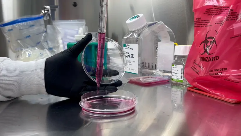 JoVE Research Video for Application of Ha-CoV-2 Pseudovirus for Rapid Quantification of SARS-CoV-2 Variants and Neutralizing Antibodies