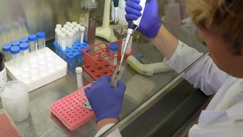 JoVE Research Video for Ex Vivo Culture of Circulating Tumor Cells in the Cerebral Spinal Fluid from Melanoma Patients to Study Melanoma-Associated Leptomeningeal Disease