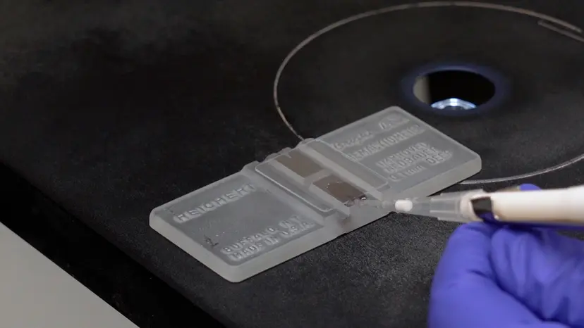 JoVE Research Video for A Dorsal Skinfold Window Chamber Tumor Mouse Model for Combined Intravital Microscopy and Magnetic Resonance Imaging in Translational Cancer Research