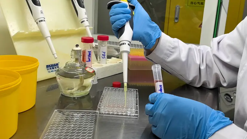 JoVE Research Video for In Vitro Modeling of Fat Deposition in Metabolic Dysfunction-Associated Steatotic Liver Disease
