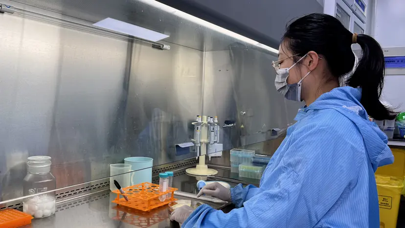JoVE Research Video for Fabrication and Characterization of Microneedle Patches for Loading and Delivery of Exosomes