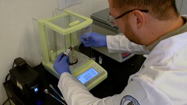 Bergmeyer Glucose Quantification for Microbiological Samples