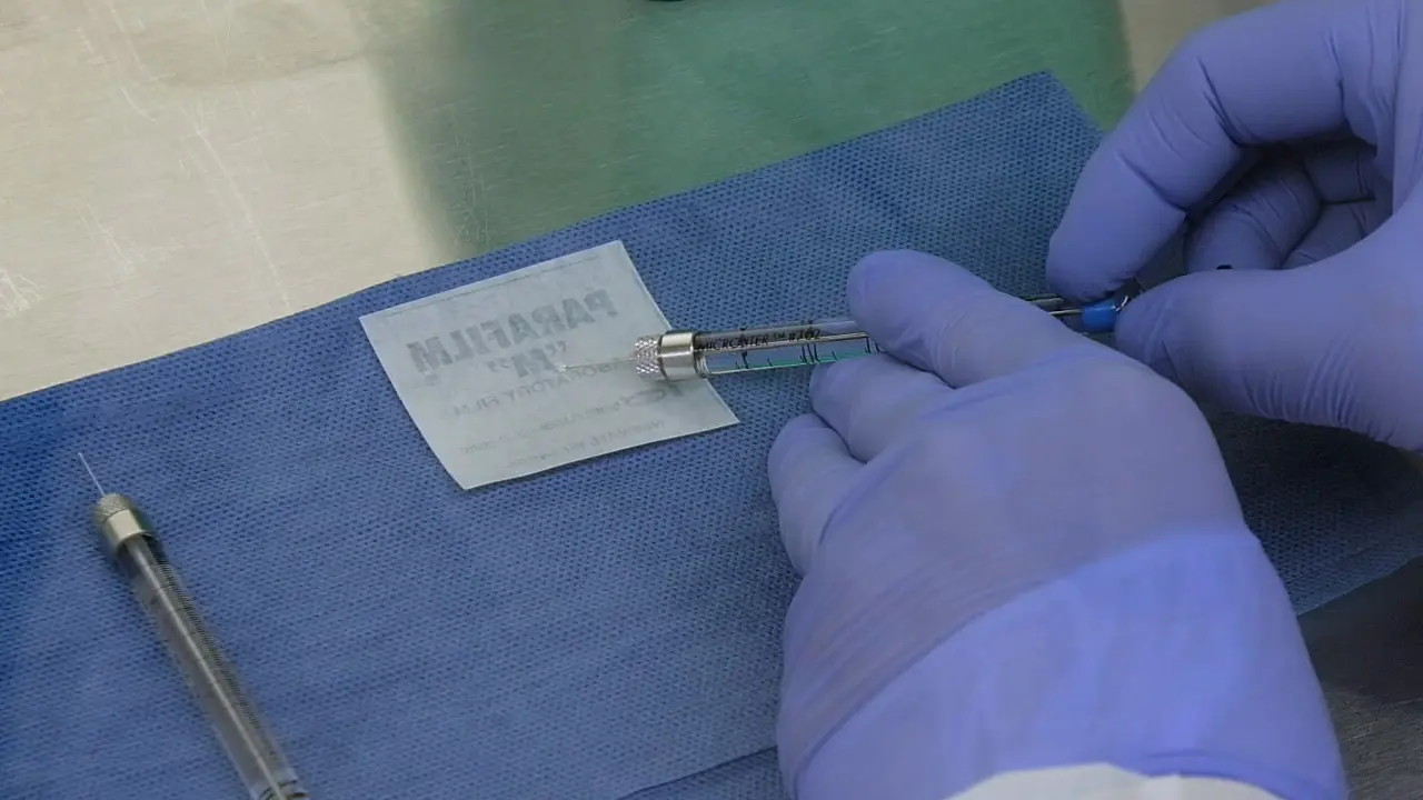 Lumbar Intrathecal Injection of Gene Therapy Vectors for Central Nervous System Targeting in Mice and Rats
