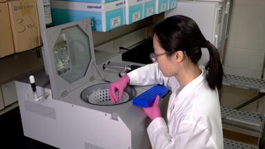 Prion Safety Laboratory Swipe Test