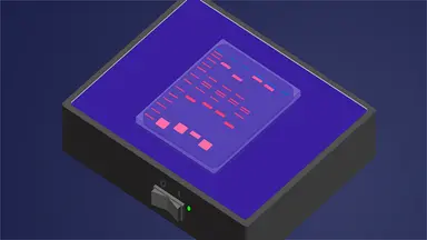 article