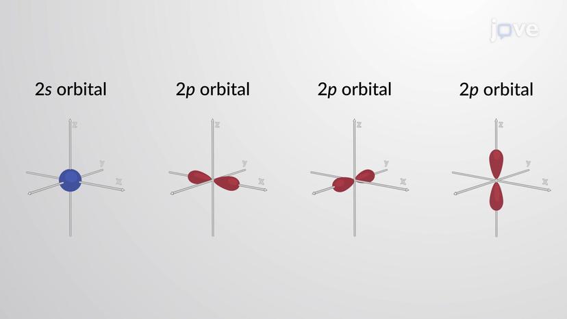 Electron Orbital Model