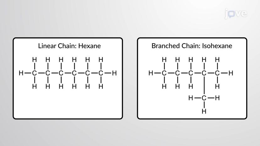 Carbon Skeletons