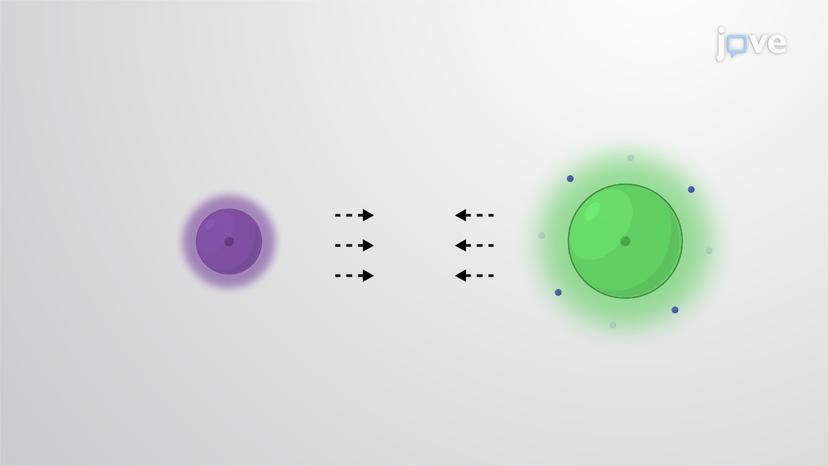 Ionic Bonds