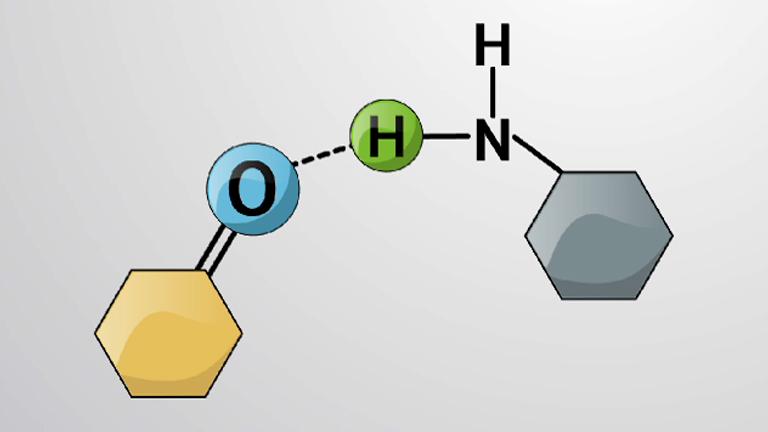 Hydrogen Bonds