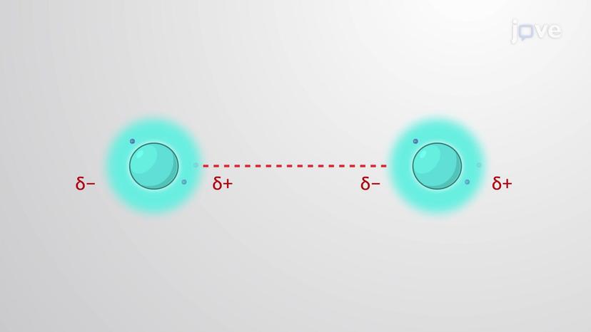 Van der Waals Interactions