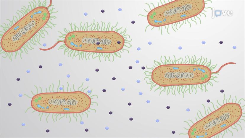 Bacterial Signaling