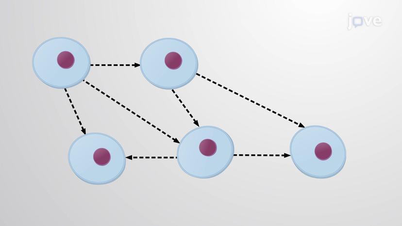 Paracrine Signaling