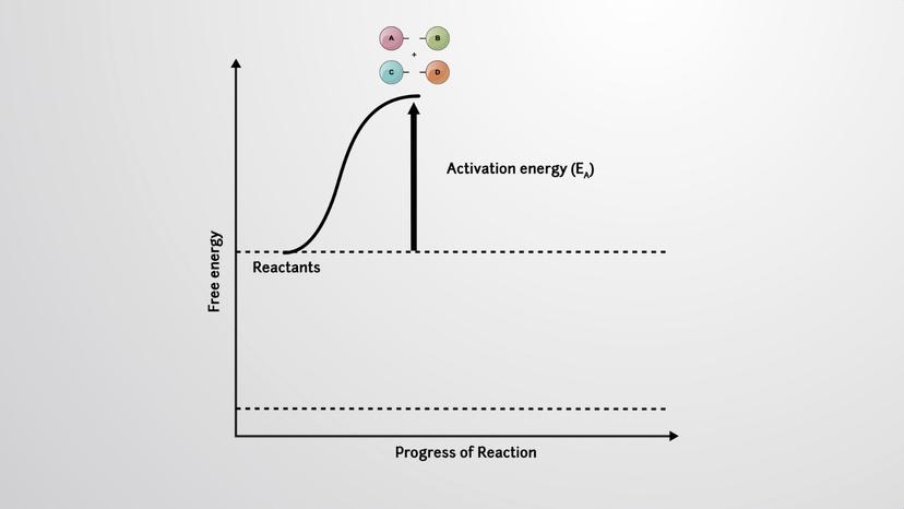 Activation Energy