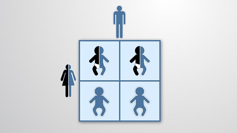 Punnett Squares