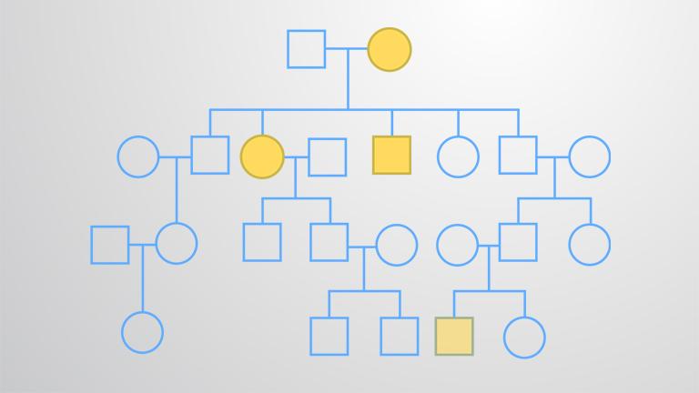 Pedigree Analysis