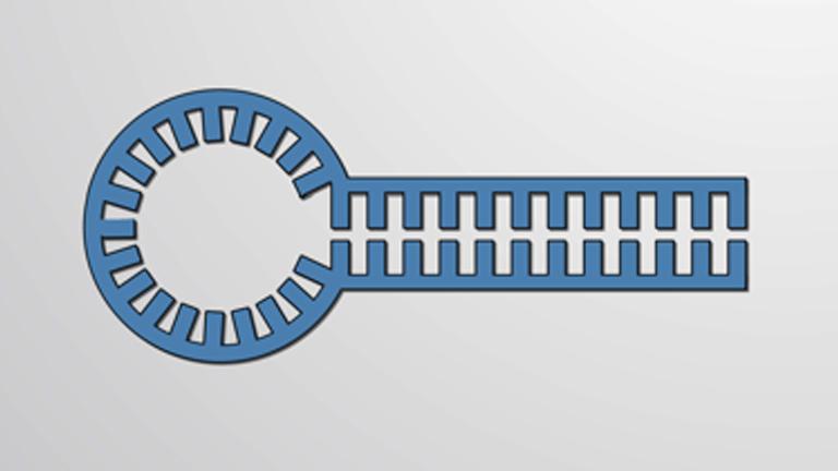 MicroRNAs