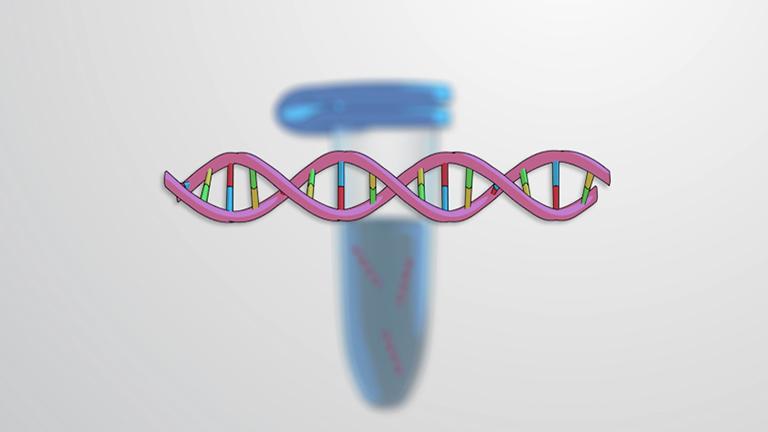 DNA Isolation