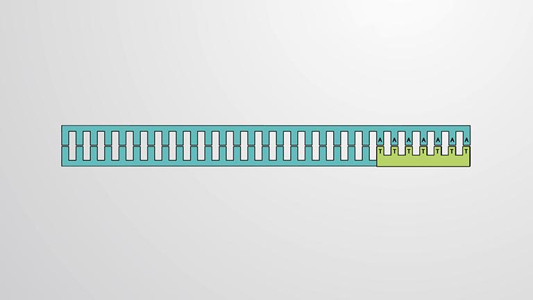 Complementary DNA