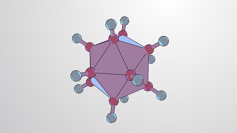 Viral Structure