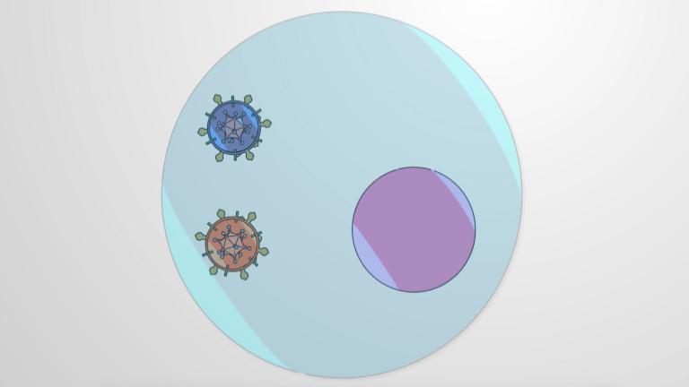 Viral Recombination