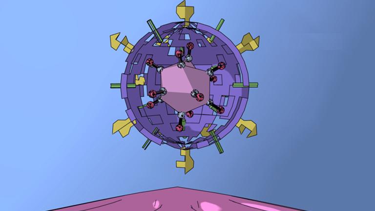 Viral Mutations