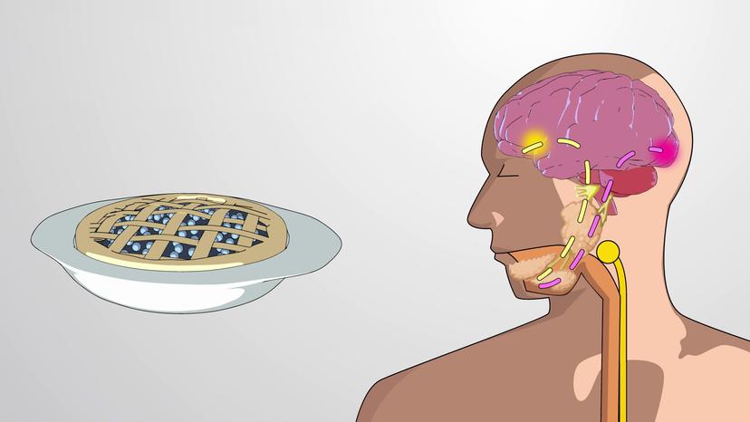 Neural Regulation