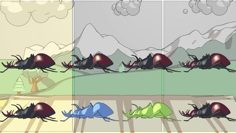 Mutation, Gene Flow, and Genetic Drift