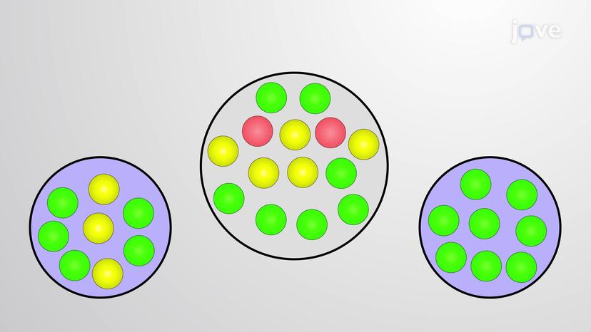 Genetic Drift