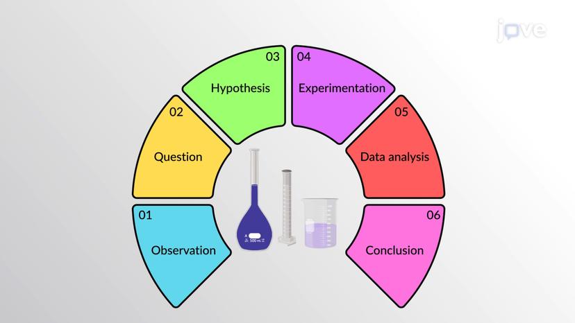 The Scientific Method