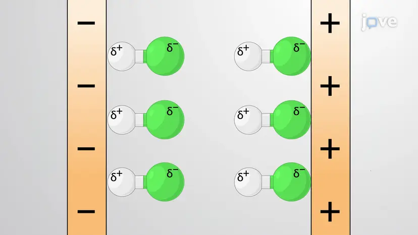 Molecular Shape and Polarity