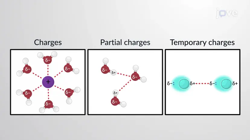 Intermolecular Forces