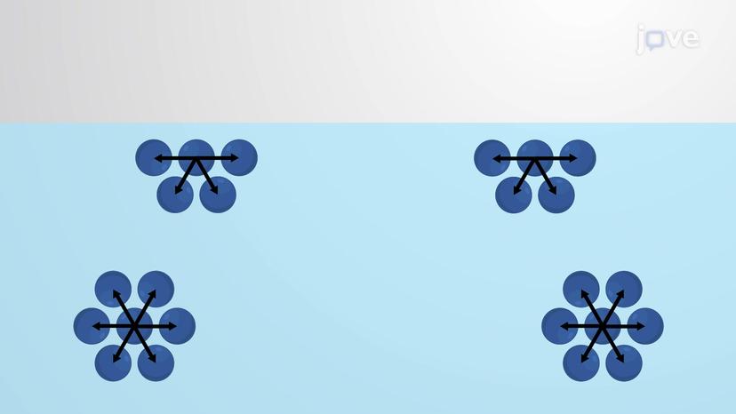 Surface Tension, Capillary Action, and Viscosity