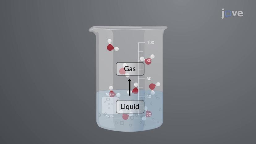 Phase Transitions: Vaporization and Condensation