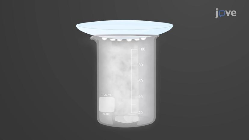 Phase Transitions: Sublimation and Deposition