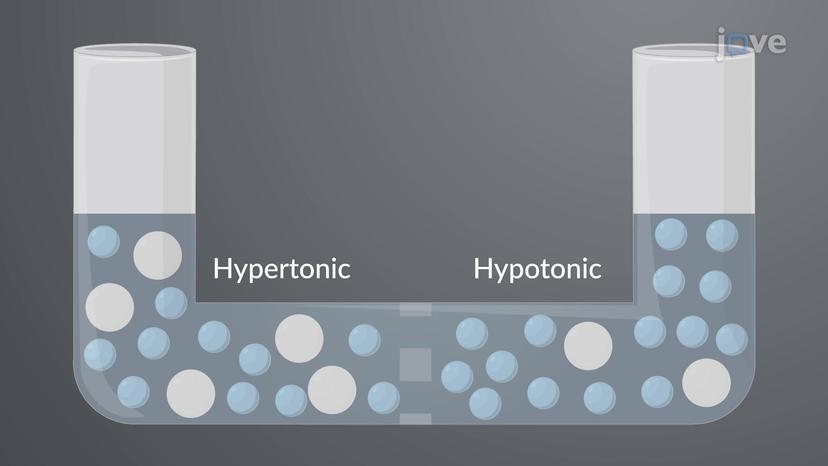 Osmosis and Osmotic Pressure of Solutions