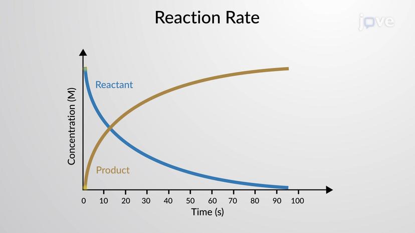 Reaction Rate