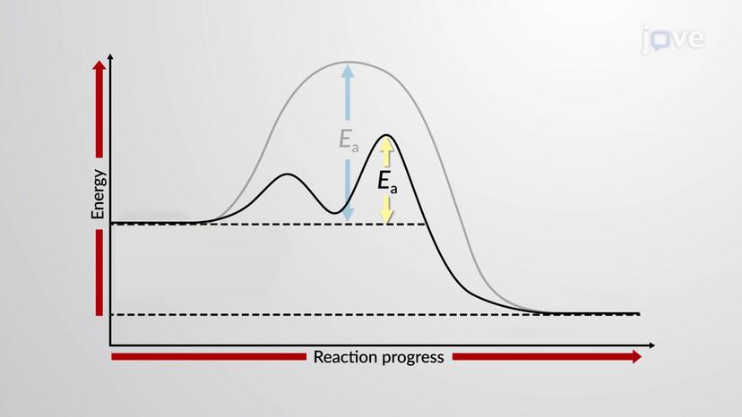 Catalysis