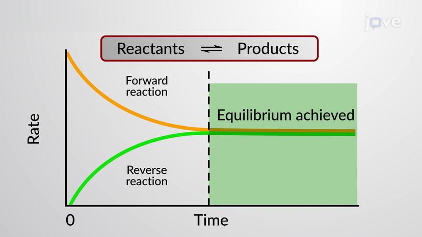 Dynamic Equilibrium