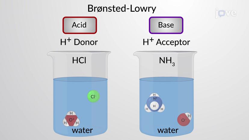 Bronsted-Lowry Acids and Bases