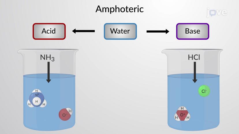 Water: A Bronsted-Lowry Acid and Base