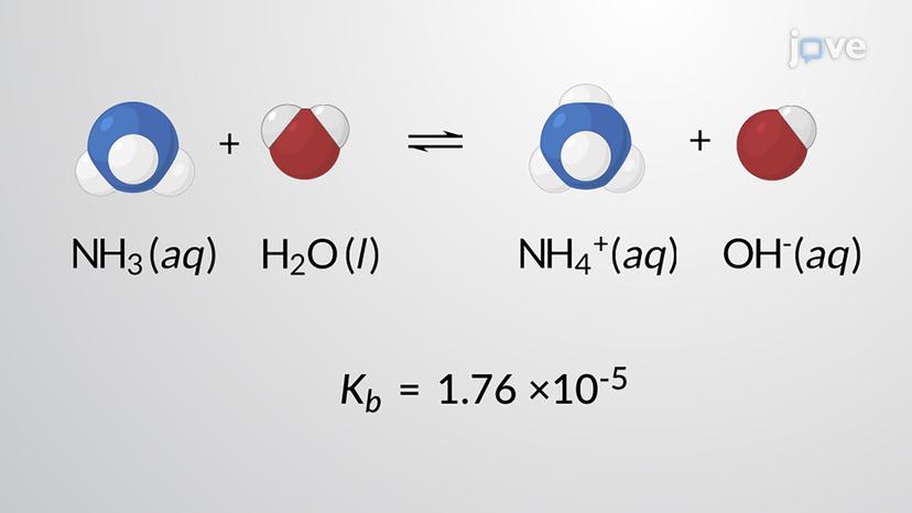 Weak Base Solutions