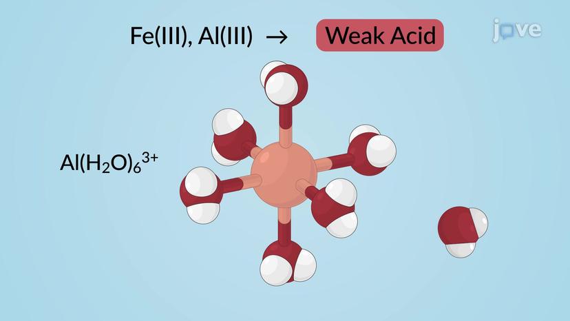 Ions as Acids and Bases