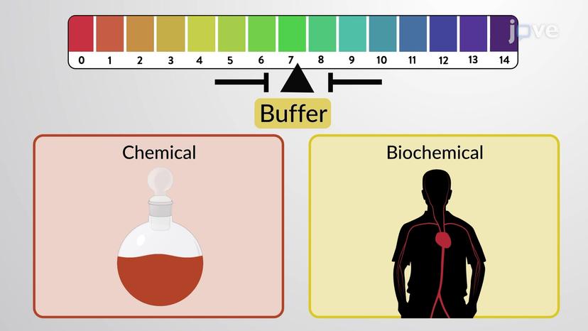 Buffers