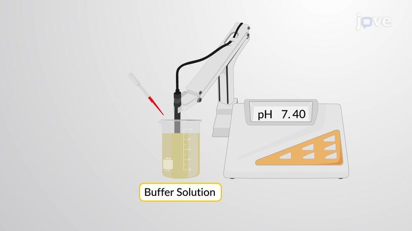 Calculating pH Changes in a Buffer Solution