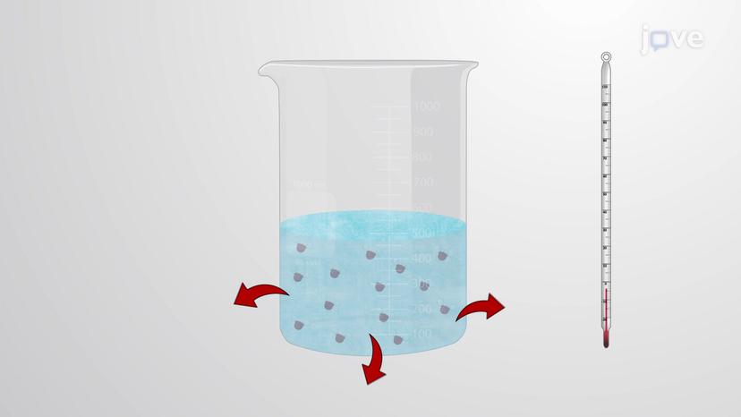 Effects of Temperature on Free Energy